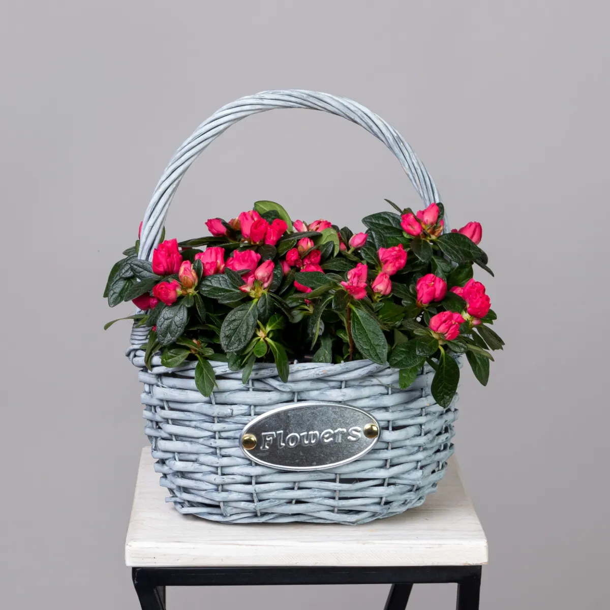 Азалия Красная в серой корзине_1