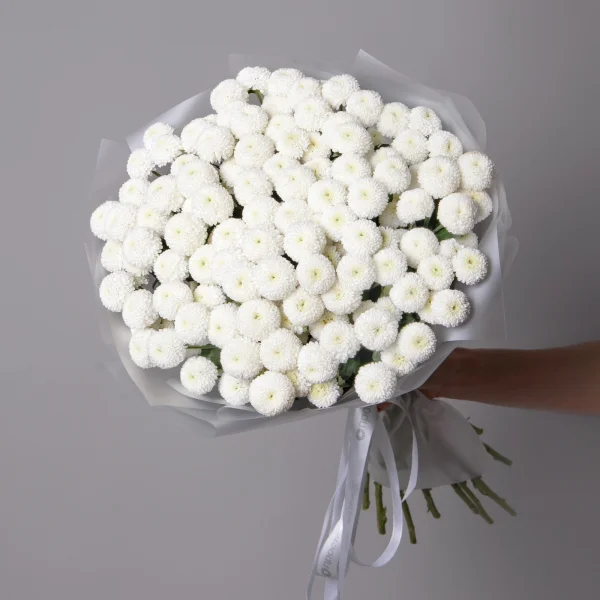 Букет Хризантема кустовая "Ньютон"_1