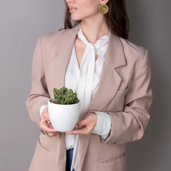 Цереус Флорида_2