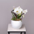 Фаленопсис Люкс Белый в белой керамике и в коробке_1