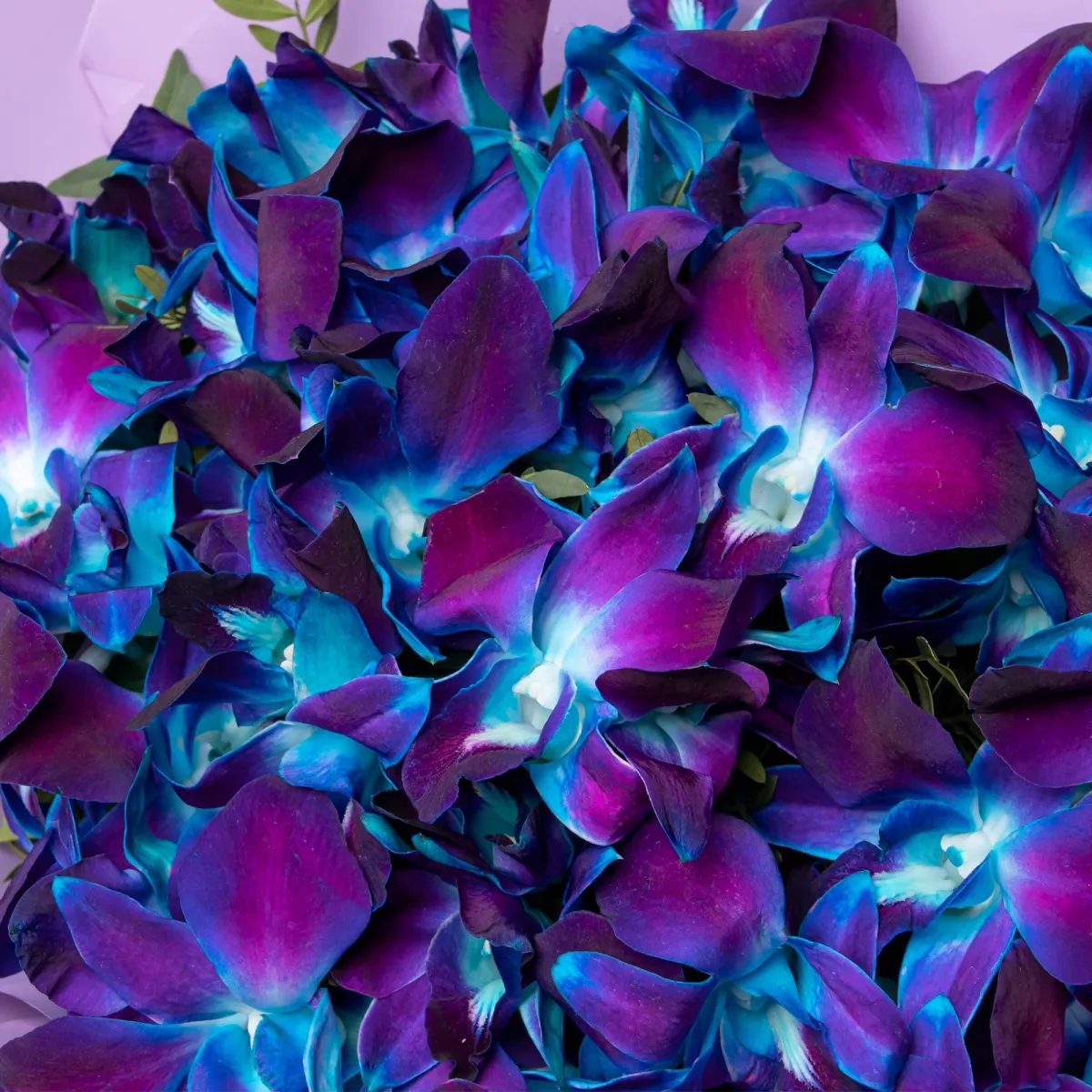 Флористический букет "Космические орхидеи 25 шт"_4