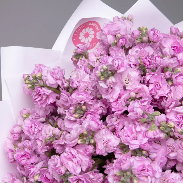 Букет Маттиола_кустовая "Розовая"