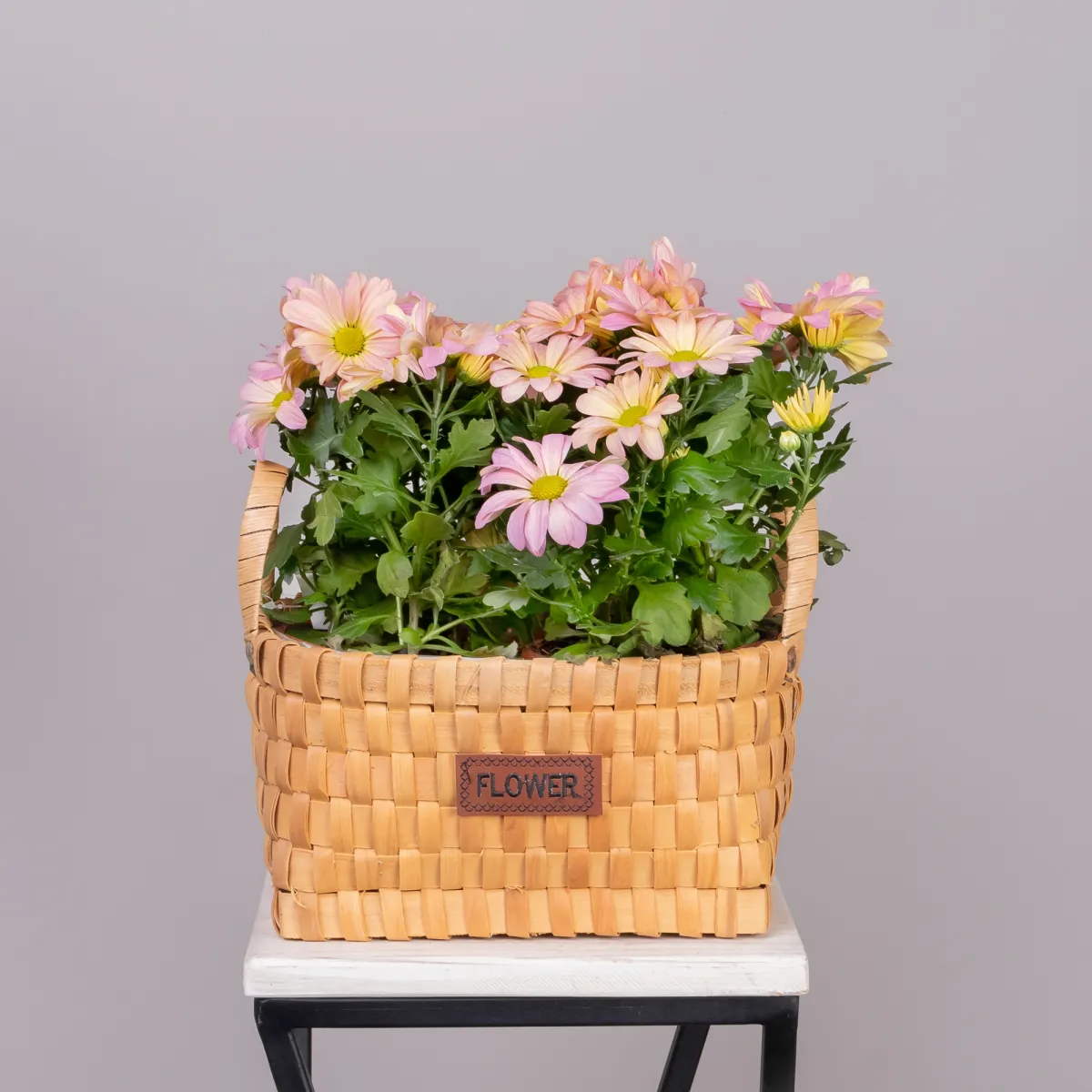 Хризантема Маргарита Розовая в Натуральной корзине_1