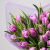 Букет Тюльпан 