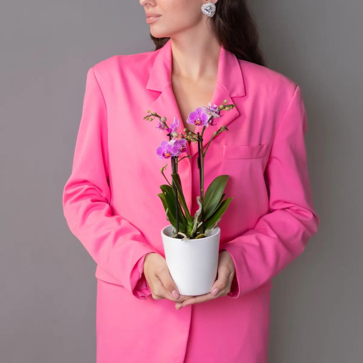 Фаленопсис Свитзеленд 3 ст Розовый2