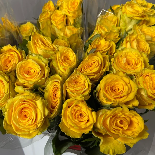 Роза "Гудтайм"