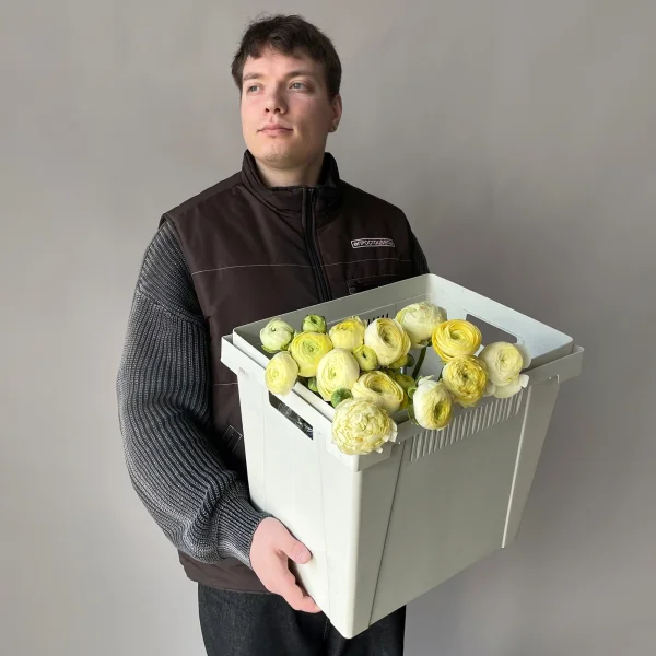 Ранункулус "Азур Салмон"_2