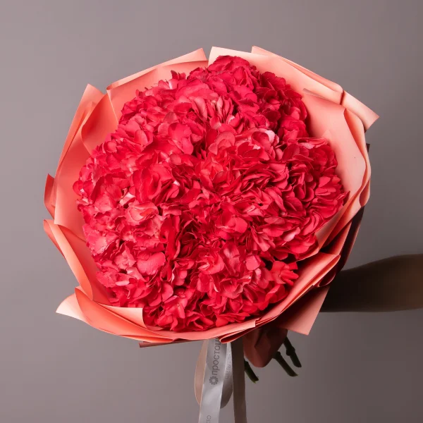 Букет Гидрангия "Хот Пинк"1