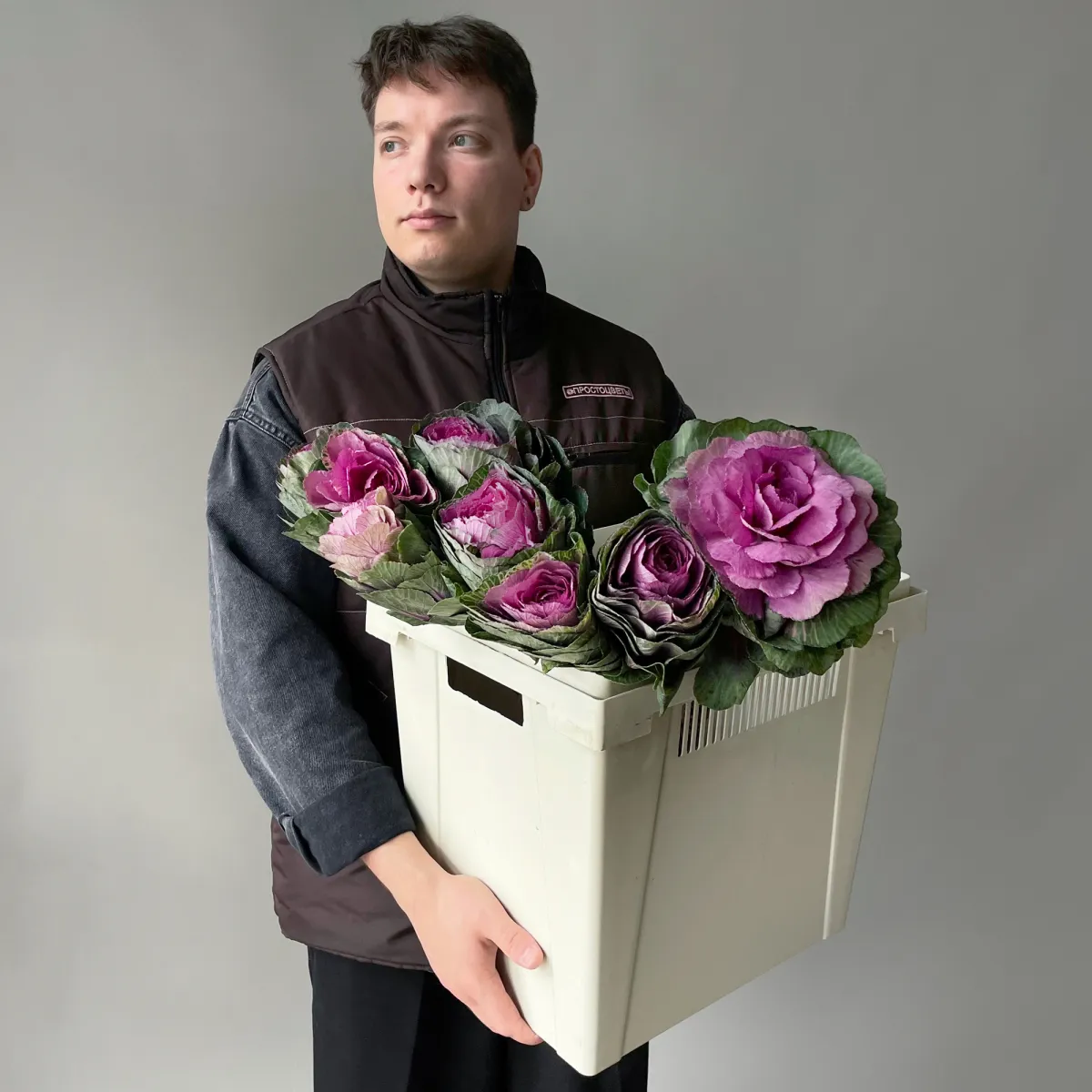 Брассика "Красная"_2