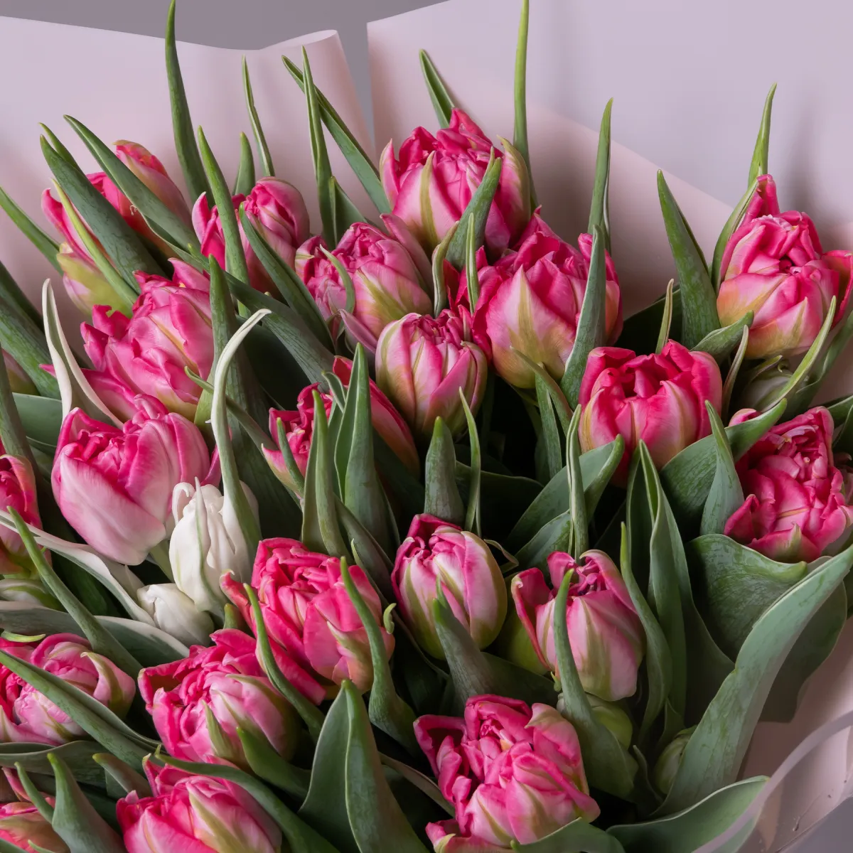 Букет Тюльпан "Ду Флеш Поинт"_3
