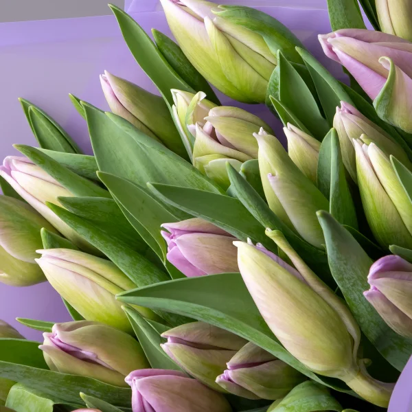 Букет Тюльпан "Эн Свит Бриз"_3