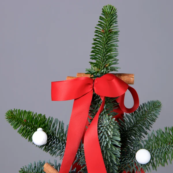 Композиция "Новогодняя ель в красном кашпо"_3