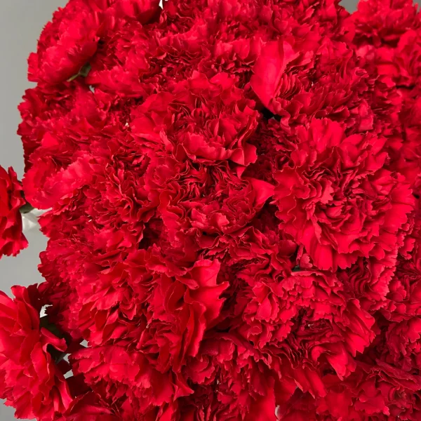 Гвоздика "Красная"