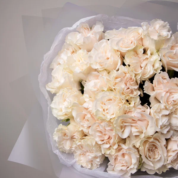 Букет Роза "Коттон Экспрешн"3