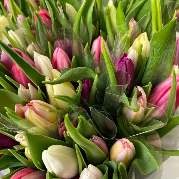 Тюльпан "Эн Микс Пастель"