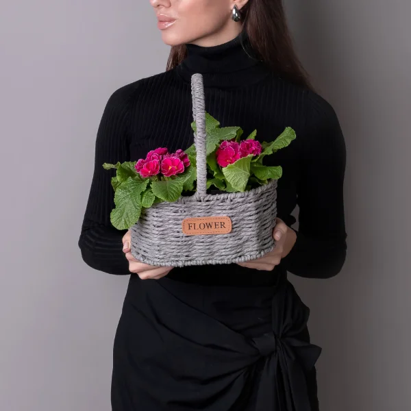 Примула Фуксия в Серой двойной корзине_1