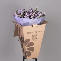 Букет Статица 