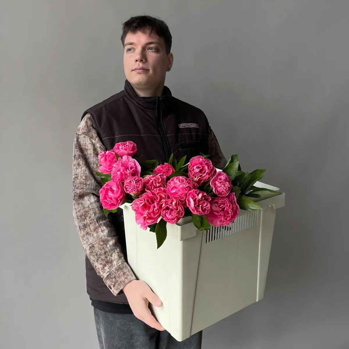 Пион "Корнейшн"_2