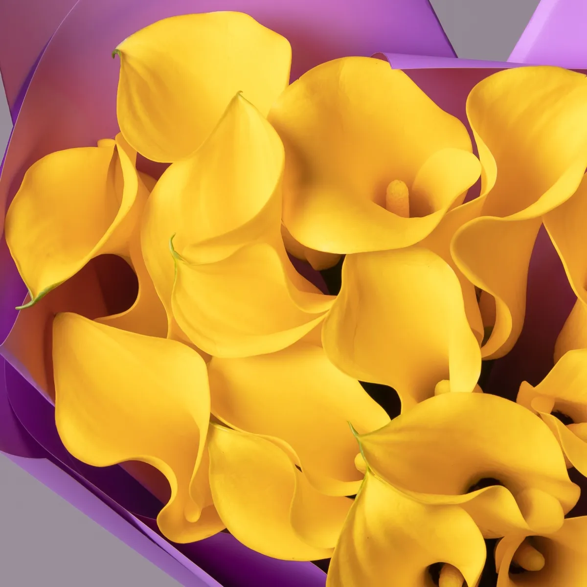 Букет Калла "Голд Медаль"_4