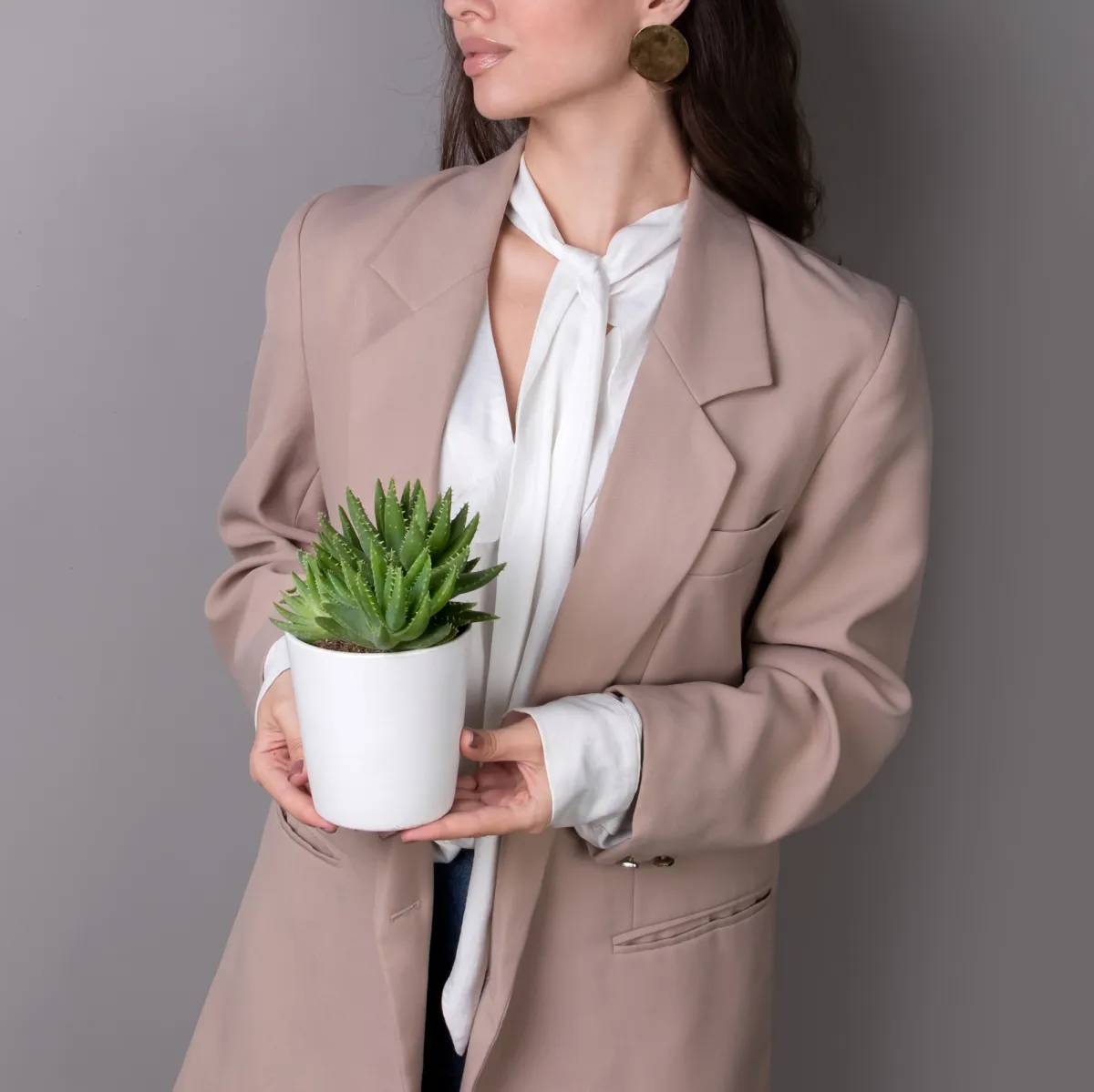 Алоэ Бревифолия_2