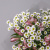 Флористический букет 