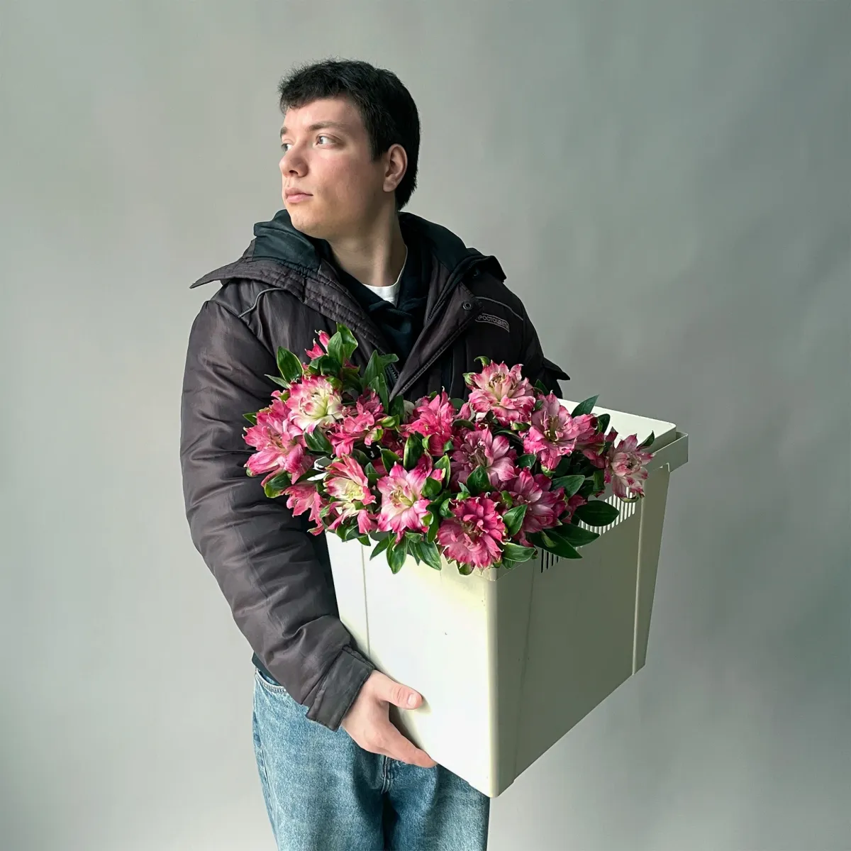 Альстромерия "Софиена"_2