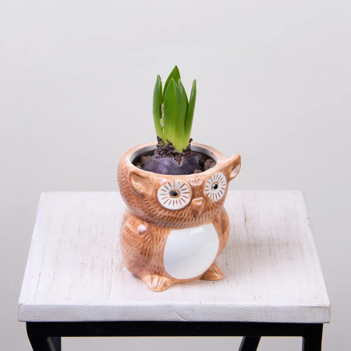 Гиацинт в керамике сова РРр1