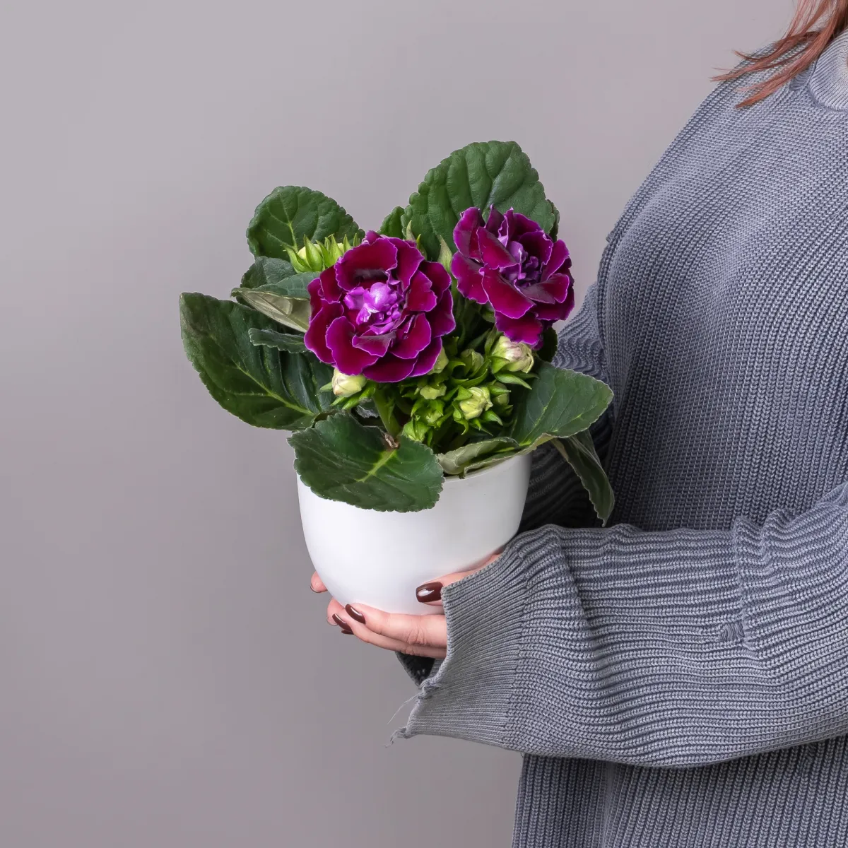 Глоксиния Микс_1