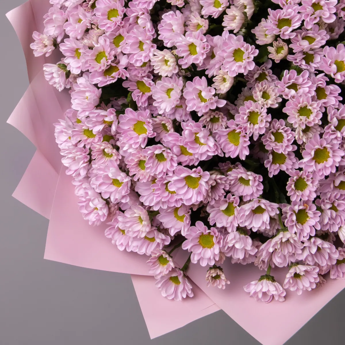 Букет Хризантема_сантини "Мадиба Танга Розовая"