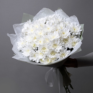 Букет Хризантема кустовая "Балтика белая"