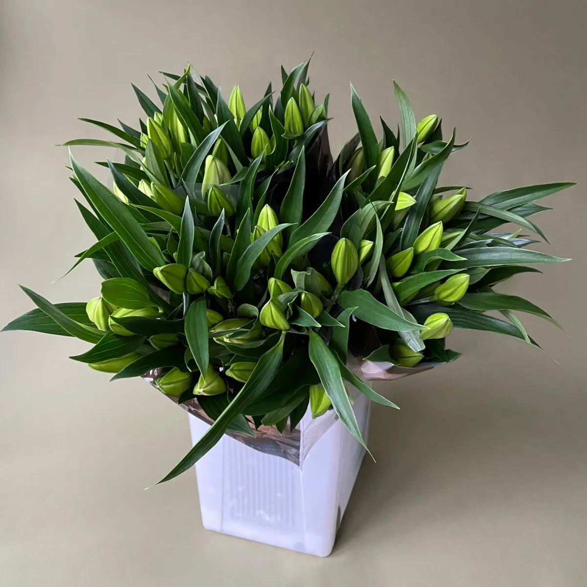 Лилия "Ор Юниверс"_1