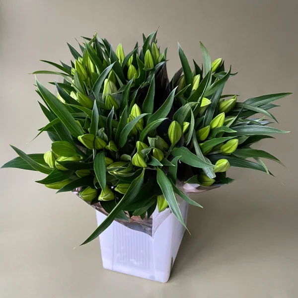 Лилия "Ор Юниверс"_1