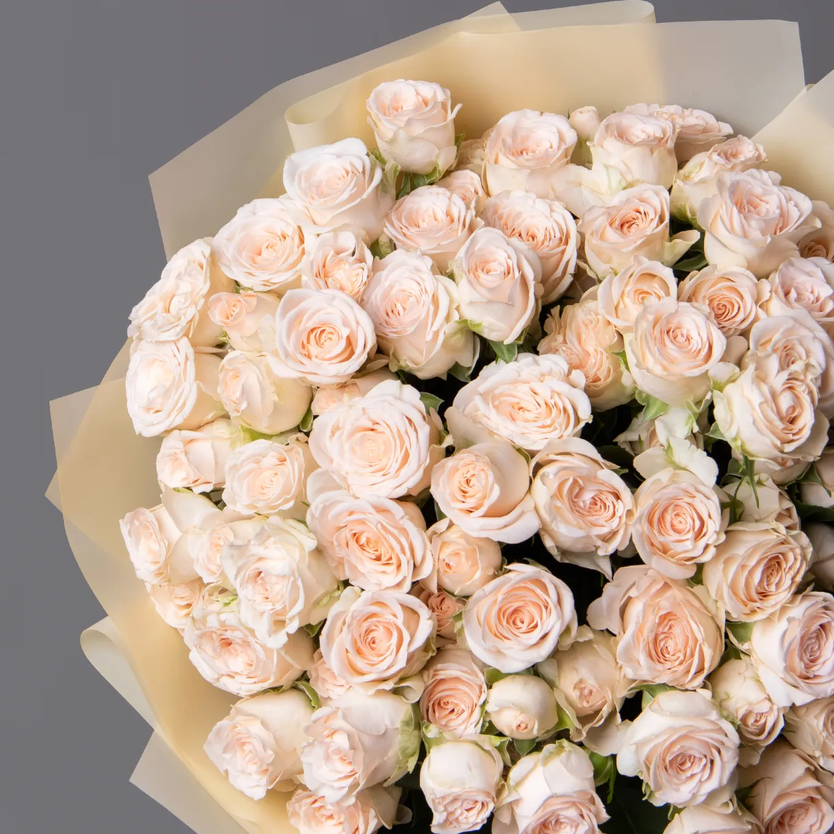 Букет Роза кустовая "Софи"_2