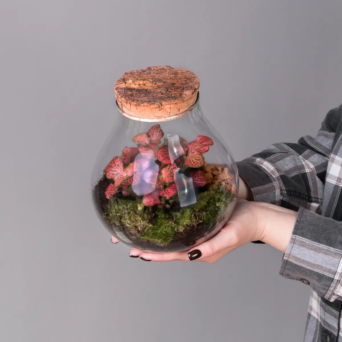 Плант Микс Террариум в стекле Колба_2