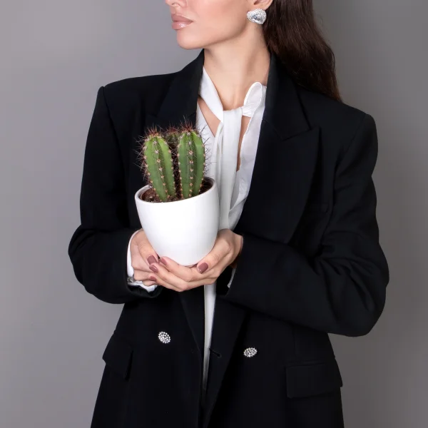 Кактус Неокарденасия Герцогиана_2