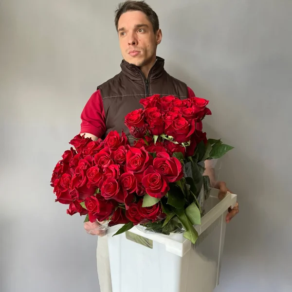 Роза "Фридом"