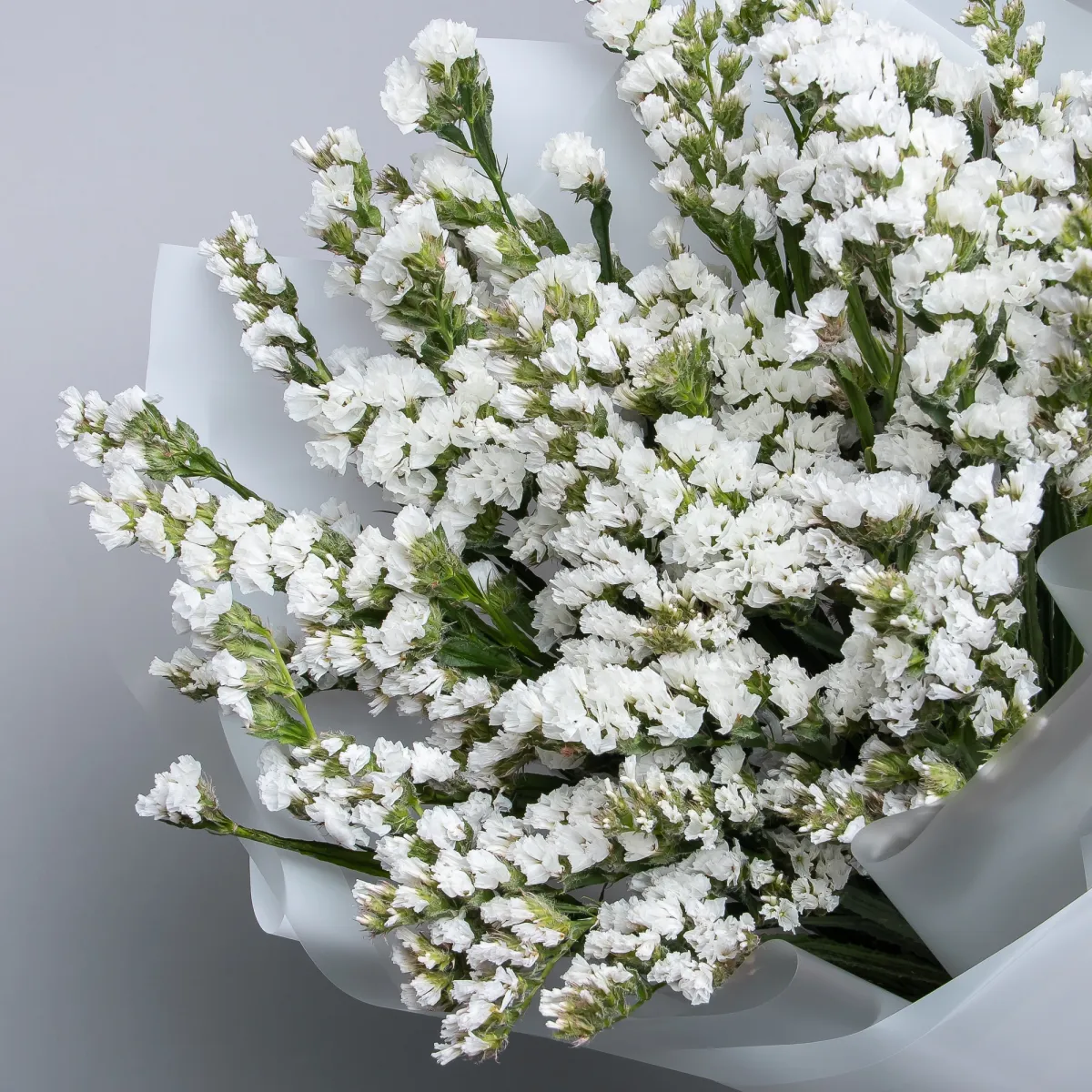 Букет Статица "Белая"