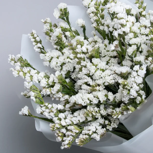 Букет Статица "Белая"