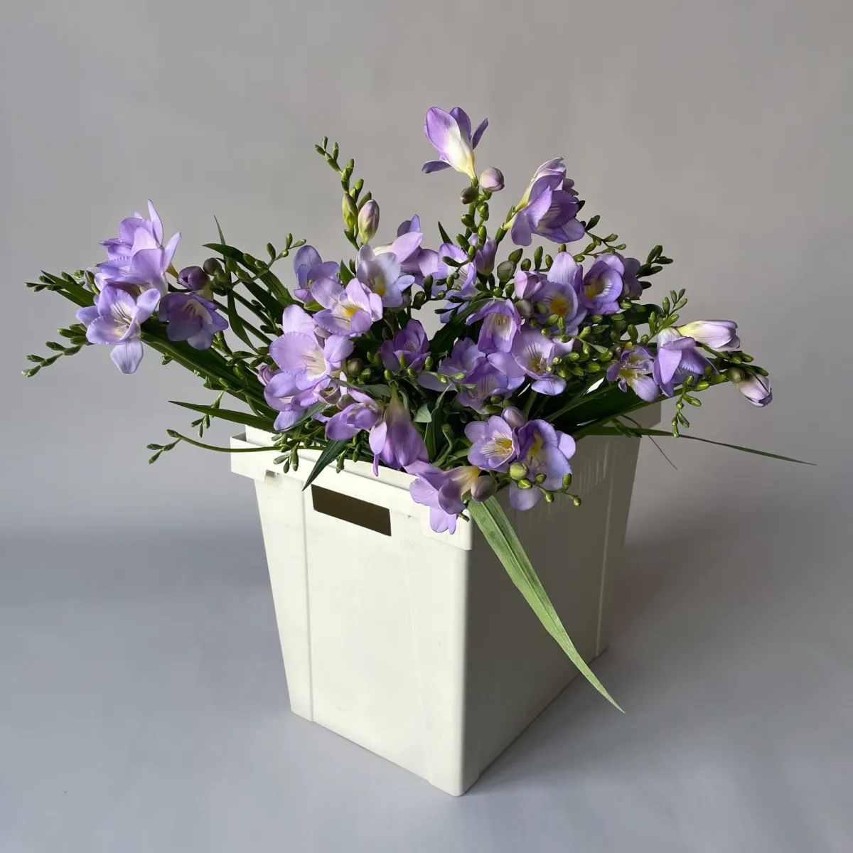 Фрезия "Эн Ван Блу"_1