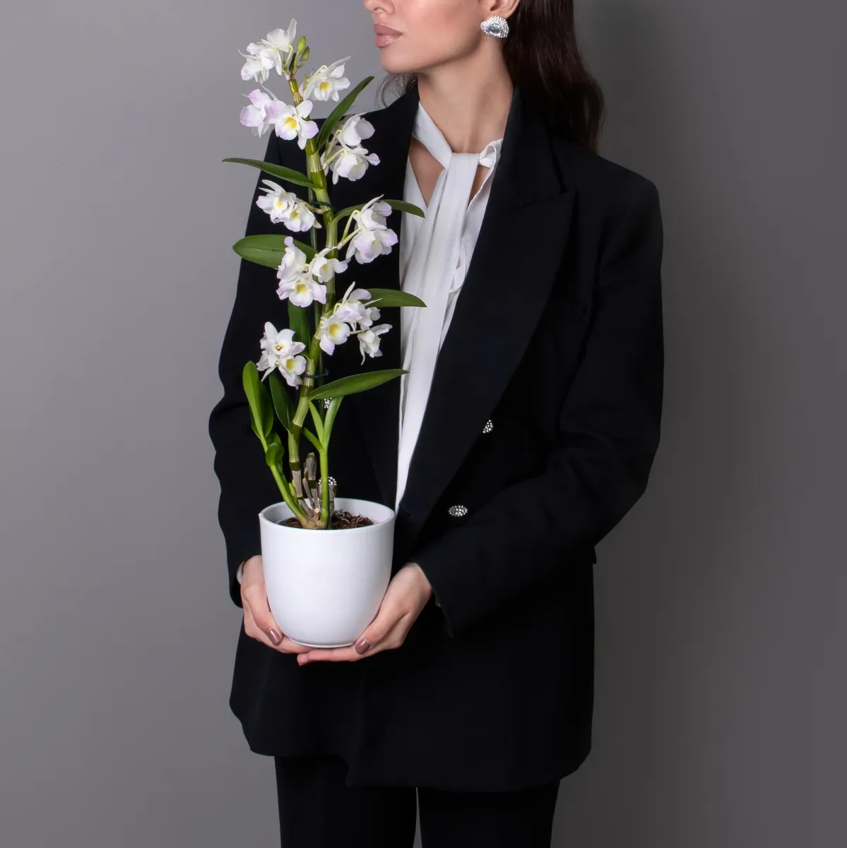 Дендробиум Нобиле Кумико 1ст_2