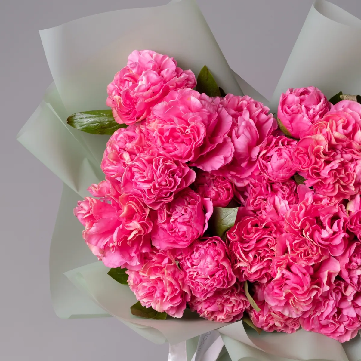 Букет Пион "Корнейшн"_3