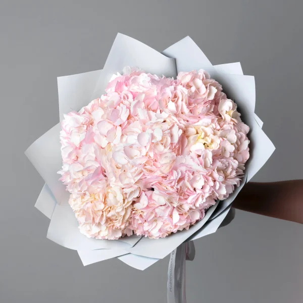 Букет Гортензия "Розовая"_1
