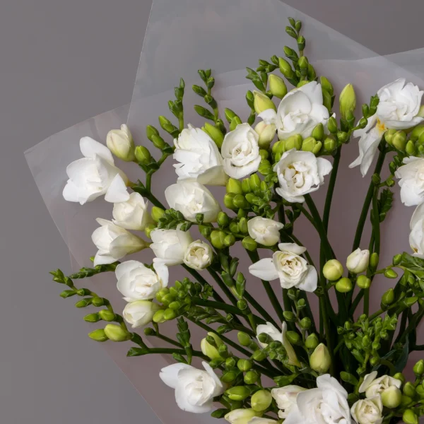 Букет Фрезия "Эн Ван Вайт"_3