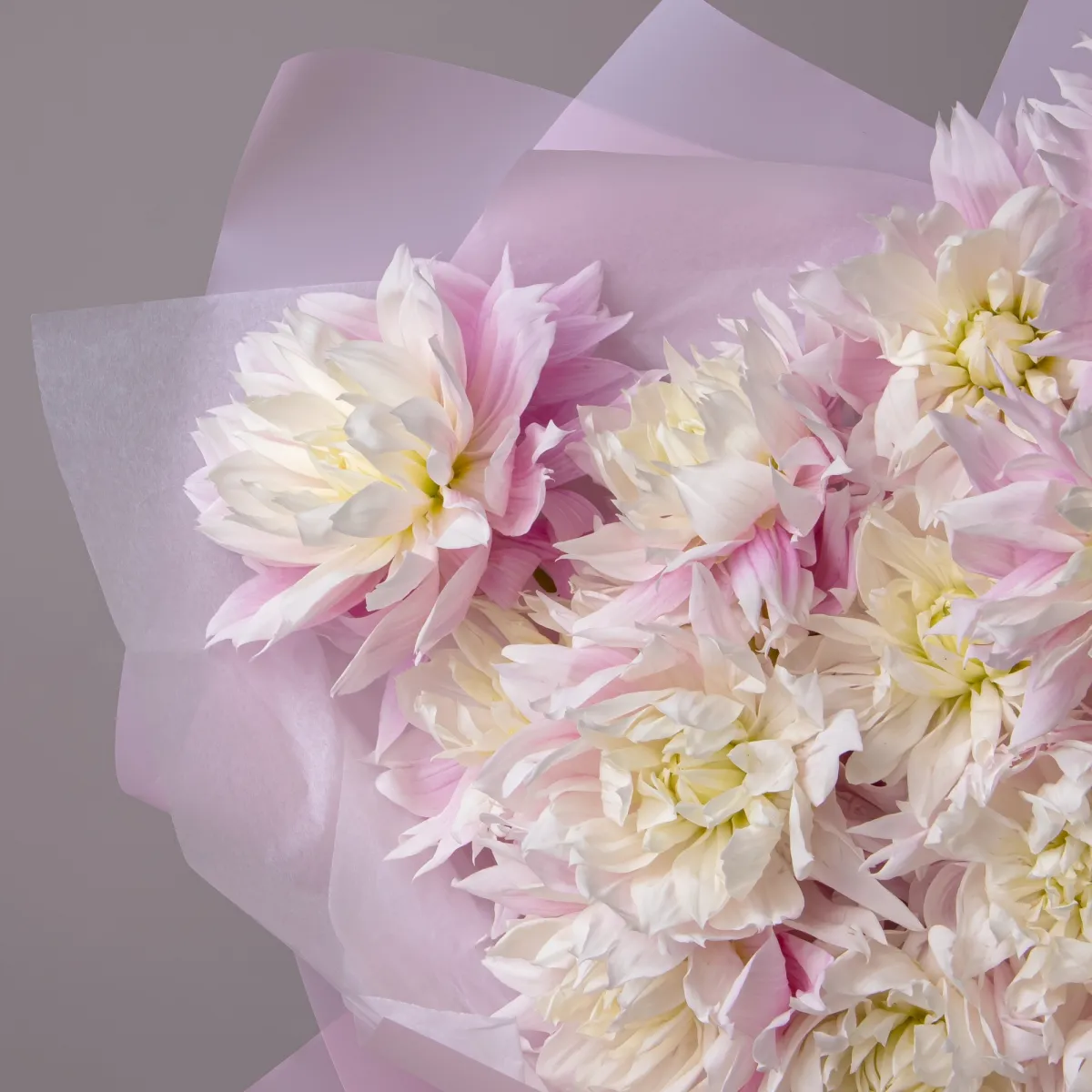 Букет Георгин "Эвелин"_3