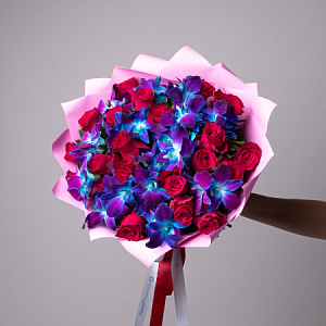 Вечное сияние XL