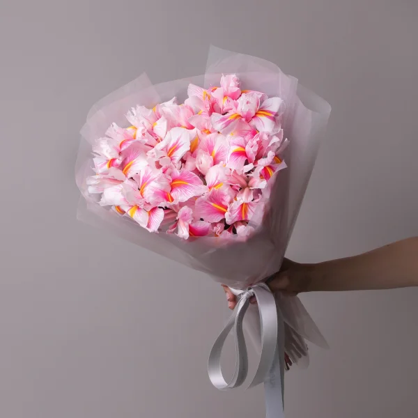 Букет Ирис "Краш. Скарлет"_1