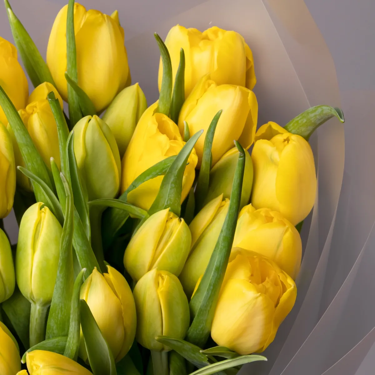 Флористический букет «Тюльпан, 25 шт, Желтый»_4