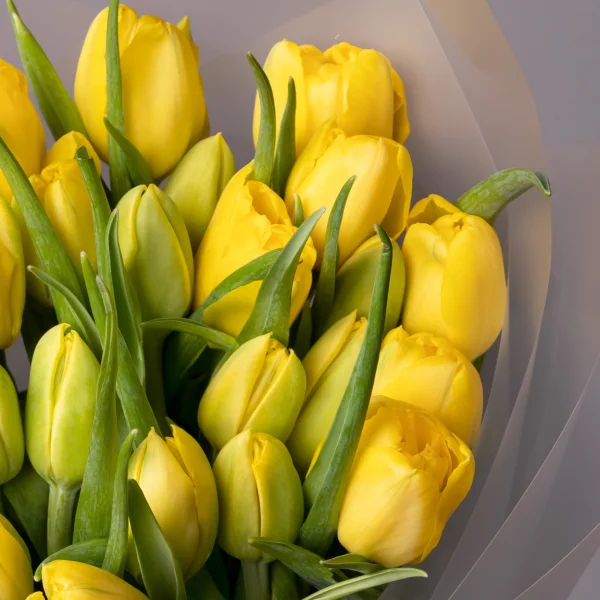 Флористический букет «Тюльпан, 25 шт, Желтый»_4