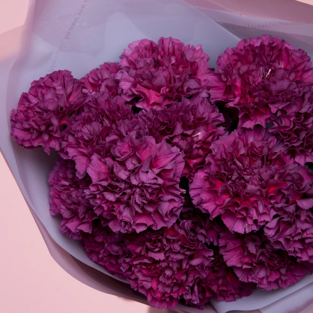 Букет Гвоздика "Микс"