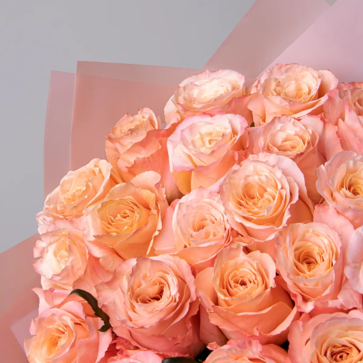 Букет Роза "Шиммер"